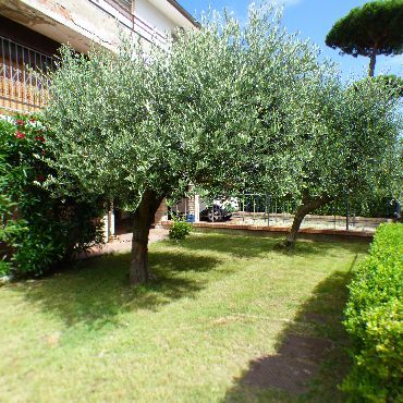 Rentals Appartamento Tirrenia Pisa