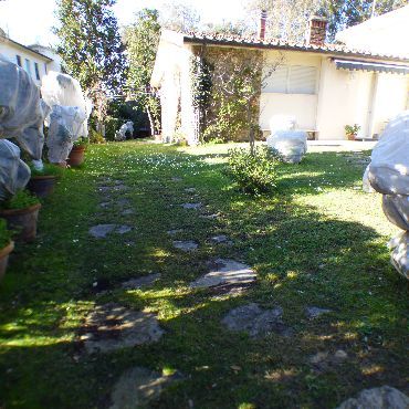 Rentals  Tirrenia Pisa