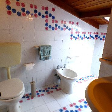 Locazione Appartamento Tirrenia Pisa