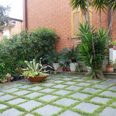 Rent Appartamento Tirrenia Pisa