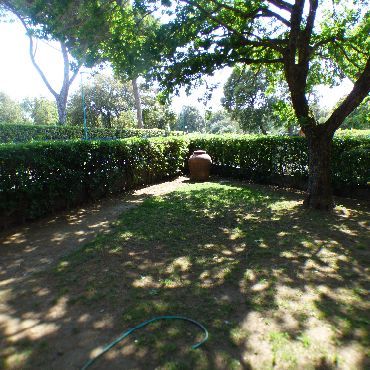 Rentals Villetta Tirrenia Pisa