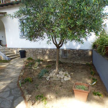 Rentals Villetta Tirrenia Pisa